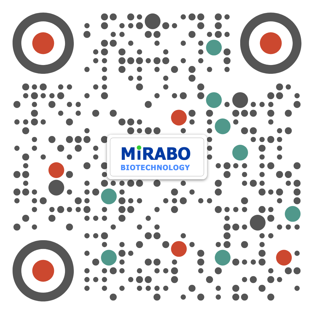 WeChat QR Code